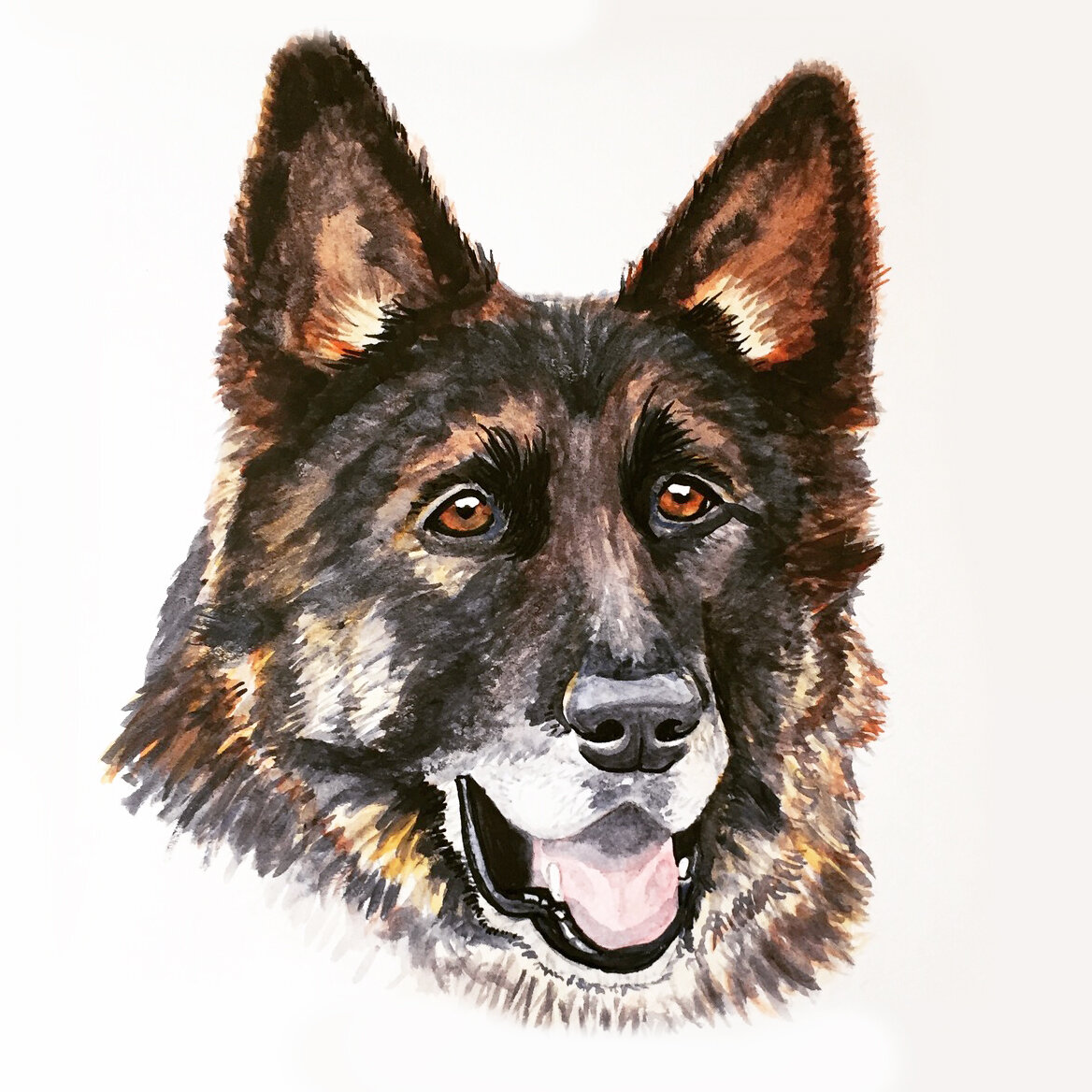 Commissioned dog portrait, watercolor